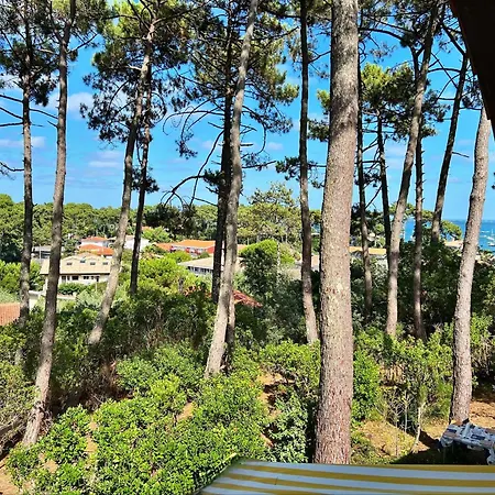 Lege-cap-ferret, 4 Chambres, 8 Pers., Jardin Clos, Animaux Admis - Fr-1-736-73 Villa *