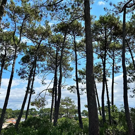 Lege-cap-ferret, 4 Chambres, 8 Pers., Jardin Clos, Animaux Admis - Fr-1-736-73 Villa