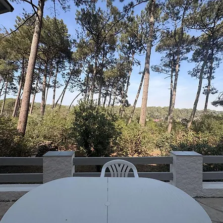 Lege-cap-ferret, 4 Chambres, 8 Pers., Jardin Clos, Animaux Admis - Fr-1-736-73 Villa *